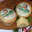 Forme di pecorino