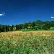 Paesaggio nei pressi di Vicchio