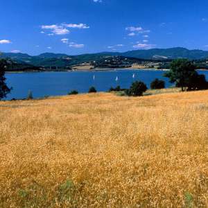 The lake of Bilancino (Barberino di Mugello)