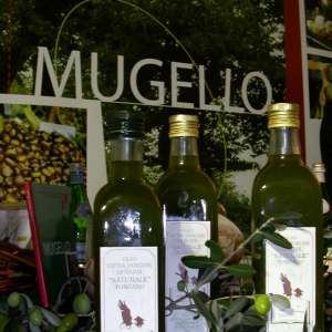 Bottles of Mugello extra virgin olive oil