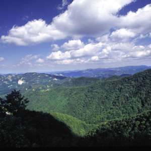 Panoramic view in High Mugello