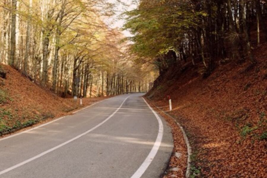 5 luoghi dove fotografare il foliage in Mugello