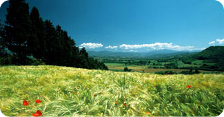 natura_home