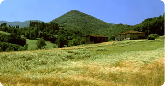 home_territorio