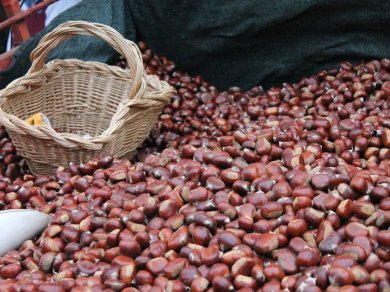 marroni di Castagno d'Andrea