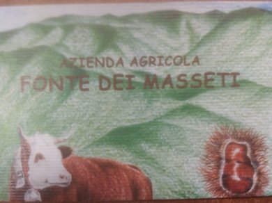 fonte dei masseti bigliettino da visita