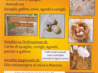 pubblicita nuova volantino arancione (3)