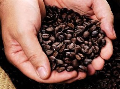 9da7ea44dafd3c58eaf8e04db4116a4emokarico