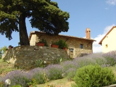 e68f1d1bf030a33d19f6e4f50b30df96giratola