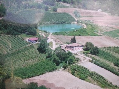 5aef0f4e2c18b611fbe0b7610fb8901fcatelaccio