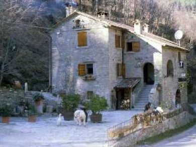 887e2347a6fe69b10f344907cdaa27e4maneggiocasetta