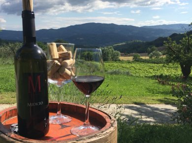 7905656d-0557-41f3-ad19-8b1dabafe988