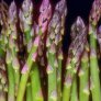 asparagi