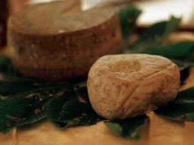 phoca_thumb_s_kc_pdm016