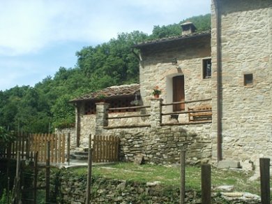 f0d1a492e99f553975505c5da90c9e43525