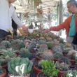 fiorinfiera 2