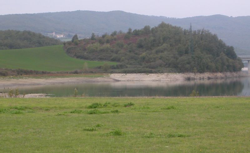DSCN2098