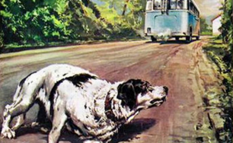 fido-domenica-del-corriere1