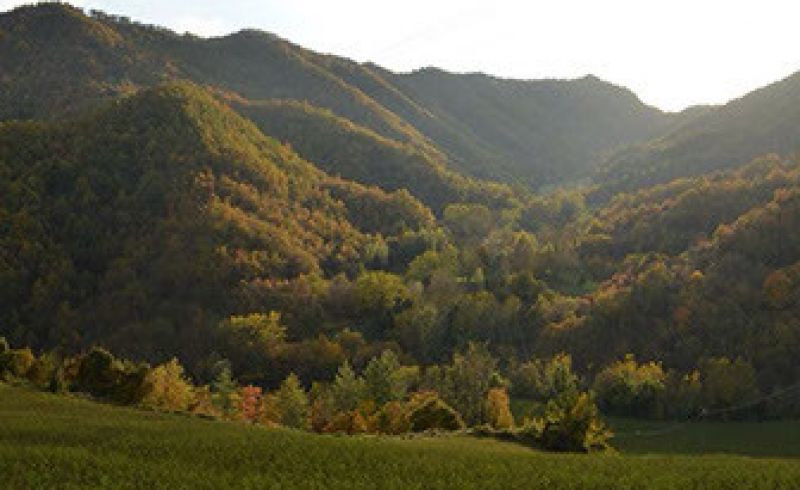 marradi