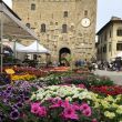 2000 FIORI A SCARPERIA