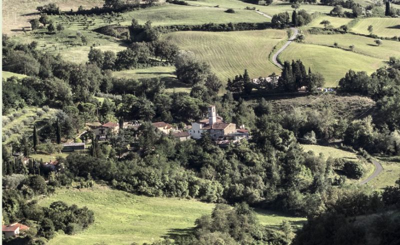libro-becchi