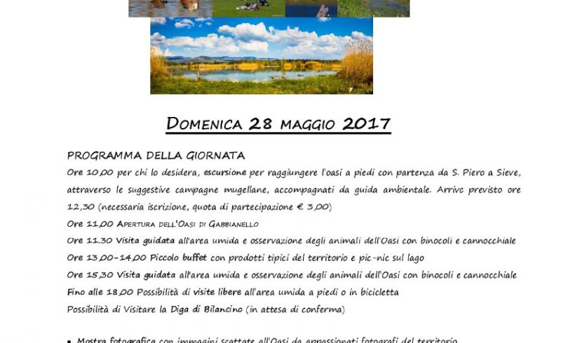 gabbianello28.05