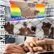 Ciclo insieme per la vita_2017-2018_A5-001