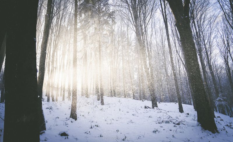 winter