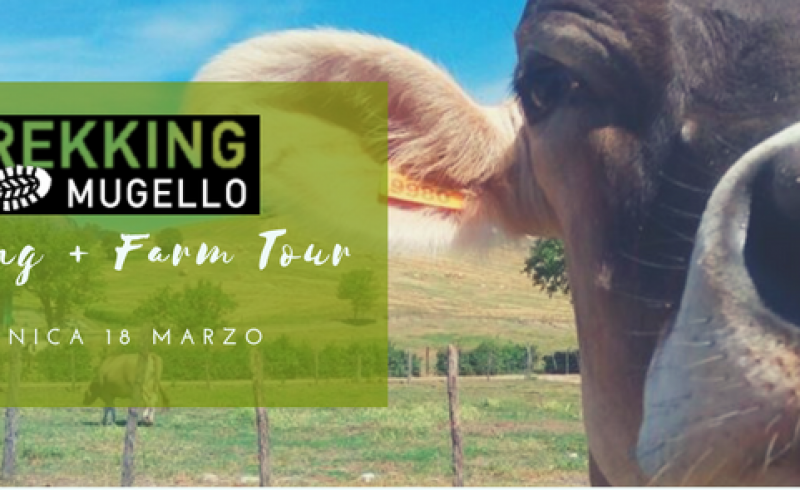 Trek Farm Tour