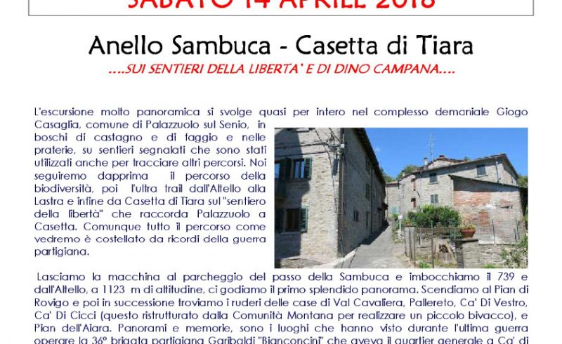 GEV_ANELLO SAMBUCA CASETTA DI TIARA-001