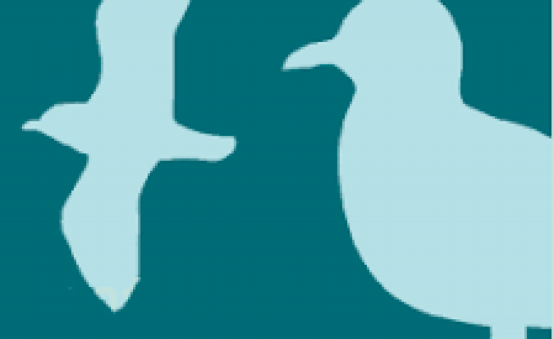 logo gabbianello