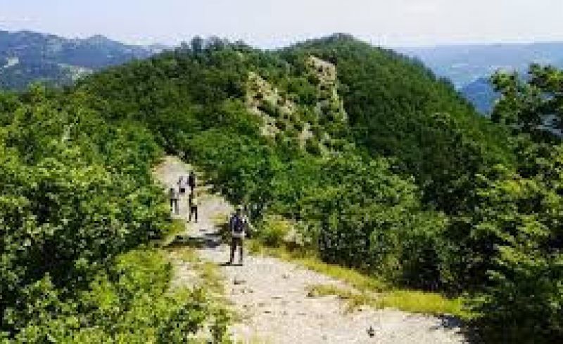 trekking