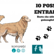 IO POSSO ENTRARE!