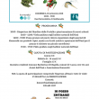 PROGRAMMA Oasi Km0