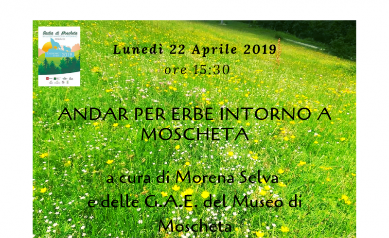 22 Aprile 2019