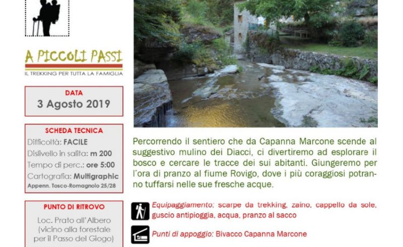 IMG-20190728-WA0002