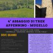 4TREKBELEFFI