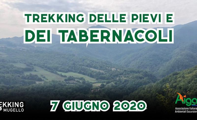 7giugno