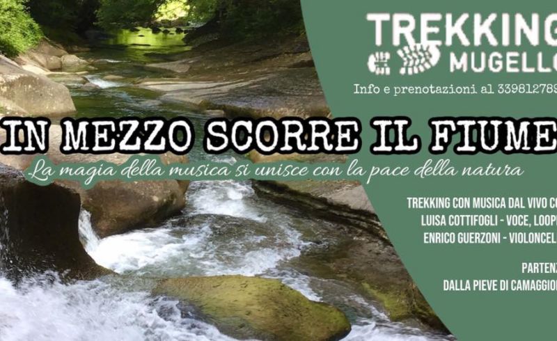 19 luglio