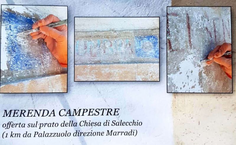 meridiana campestre 