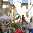 fiorinfiera 2