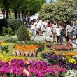 fiorinfiera 3
