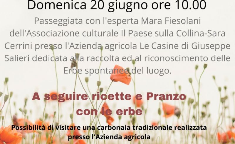 Dal campo... alla tavola 20 giugno 2021
