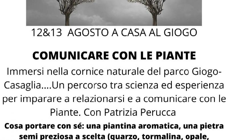 comunicare con le piante_jpg