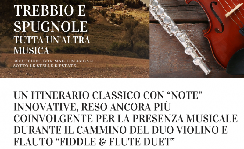 Spugnole bruzzico