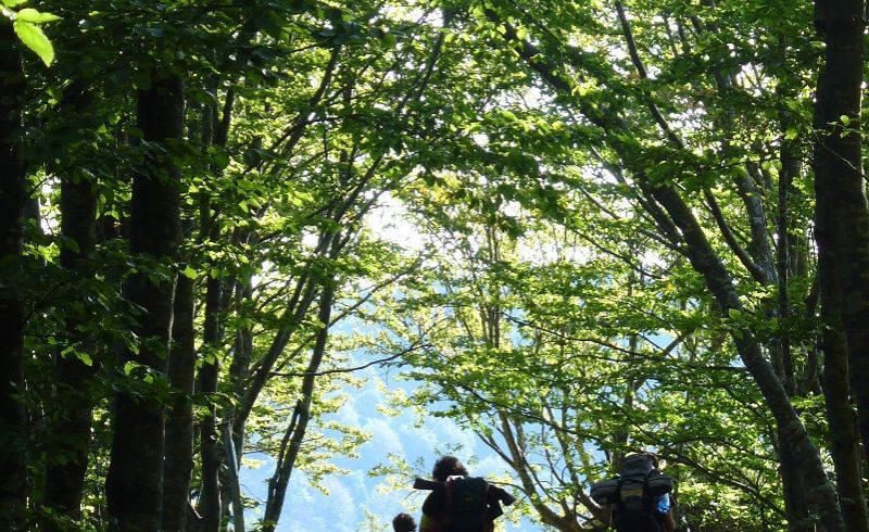 trekking