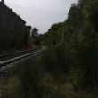 trekking fornello vicchio passeggiate (6)