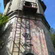 trekking fornello vicchio passeggiate (9)