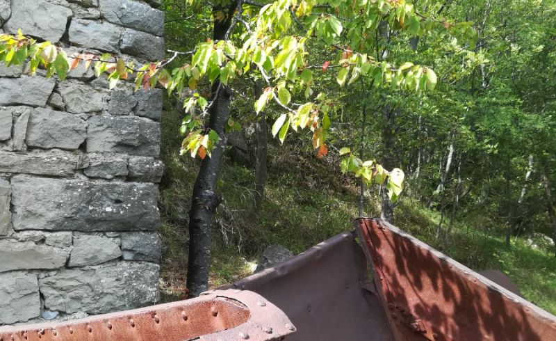 trekking fornello vicchio passeggiate (3)