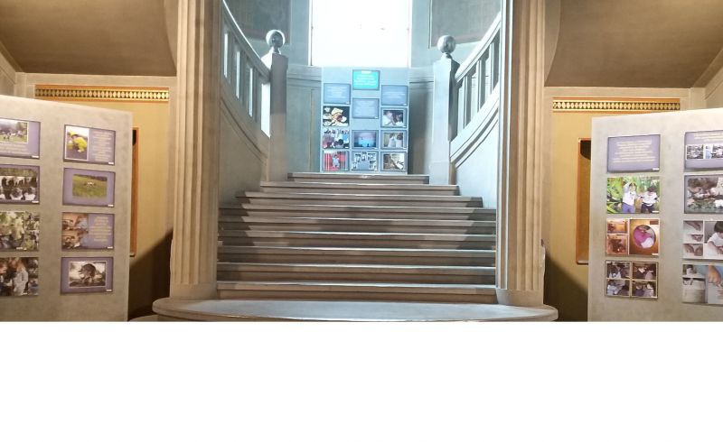bambini